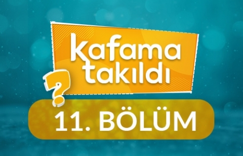 Eşitliklerin Olduğu Bir Dünya